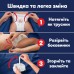 Підгузки Pampers Night Pants Розмір 5 (11-17 кг) 46 шт (8006530320658)