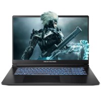 Ноутбук Dream Machines RT5050-17 (RT5050-17UA23)