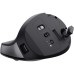 Мишка Trust Bayo+ Ergonomic Wireless/Bluetooth Black (25146)