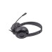 Навушники A4Tech FH100U Stone Black