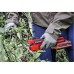 Кущоріз Einhell Professional, GP-LS 18/28 Li BL-Solo, PXC, 18V, товщ. 28/14мм, сталь SK5, 0.82кг (без АКБ та ЗП) (3408320)