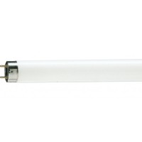 Лампочка Philips TL-D G13 1200mm 36W/33-640 1SL/25 (928048503351)