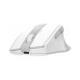Мишка A4Tech FG35CS Plus Wireless White (4711421002998)
