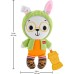 Брязкальце Fisher-Price Зайчик-обіймашка з прорізувачем (JLB87)