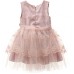 Плаття дитяче Tivido святкове з прикрасою (2135-92G-pink)