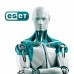 Антивірус Eset PROTECT Complete з локал. управл. 43 ПК на 3year Business (EPCL_43_3_B)