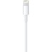 Дата кабель USB 2.0 AM to Lightning 2.0m Apple (MD819ZM/A)