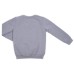 Спортивний костюм дитячий Breeze GREAT DAY (20536-110B-gray)