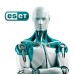 Антивірус Eset PROTECT Advanced з локал. управл. 45 ПК на 3year Business (EPAL_45_3_B)