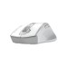 Мишка A4Tech Fstyler FG55S Plus Wireless White (4711421003438)