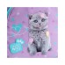 Рюкзак шкільний Kite Education 763S Studio Pets (SP26-763S)