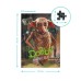 Пазл DoDo Medium-S Harry Potter. Добі (200497)