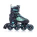 Роликові ковзани Tempish Dasty Boy 41-43 (1000049/41-43)