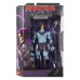 Фігурка Masters Of The Universe Хроніки Перших Скелетор (JKJ23)