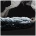Статуетка Iron Studios Harry Potter Harry Potter and Buckbeak (WBHPM41021-10)