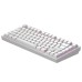 Клавіатура Dark Project ALU81 Terra Nostra PBT RGB Mech G3MS Moonstone White (DPKB_NOSTRA_81_ANSI_WHITE_UA)