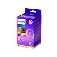 Лампочка Philips Classic 100W G95 E27 WW CL (929002429666)