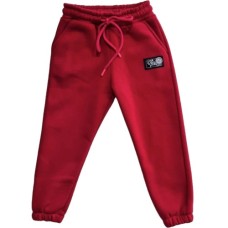 Штани дитячі Cloise флісові (CL0154024-116G-red)