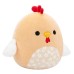 М'яка іграшка Squishmallows Півник Руті 19 см (SQER01231)