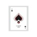 Гральні карти Ellusionist Views X (limited edition) (PC_ELVX)