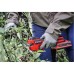 Кущоріз Einhell Professional, GP-LS 18/28 X-Change, PXC, 18V, 2.5Ah, товщ. 28/14мм, сталь SK5, ЗП, 0.82кг (3408320K)