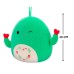 М'яка іграшка Squishmallows Друзі Кактуси 2 шт, 19 см (SQVA00845)
