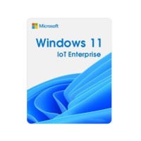 Операційна система Microsoft Windows 11 IoT Enterprise LTSC 2024 Perpetual, Commercial, OneTime (DG7GMGF0PP49_0001)