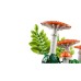 Конструктор LEGO Botanicals Лісові гриби (11505)