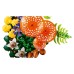 Конструктор LEGO Botanicals Лісові гриби (11505)