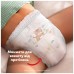 Підгузки Pampers Active Baby Pants Розмір 7 (15+ кг) 108 шт (8006530305747)