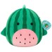 М'яка іграшка Squishmallows Кіт-кавун Крістофер 30 см (SQCR07967)