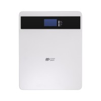 Батарея LiFePo4 PowerPlant 25.6V 100Ah 2560Wh (NV823185)