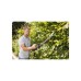 Кущоріз Gardena EasyCut 420/45, 420 Вт, 45 см (09830-20.000.00)
