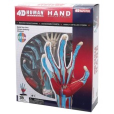 Пазл 4D Master Об'ємна анатомічна модель Рука людини (FM-626009)
