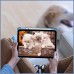 Чохол до планшета BeCover Soft Edge TPU Apple iPad Air 11" M2 2024 Blue Haze (711703)