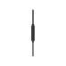 Навушники Philips TAE2146 Black (TAE2146BK/00)