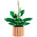 Конструктор LEGO Botanicals Спатифілум (11504)