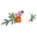 Конструктор LEGO Botanicals Милий рожевий букет квітів (10342)