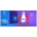 Розумна лампочка TP-Link Tapo L530E (4-Pack) N300 (TAPO-L530E-4-PACK)