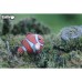 Пазл Eugy 3D Зоопарк Риба-клоун (XEG-037)