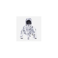 Куртка дитяча Huppa ALEX 1 17800130 білий з принтом/білий 128 (4741468986890)