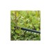 Кущоріз Bosch акумуляторний UniversalHedgeCut 18V-50 18V, 50мм, крок різу 20мм, 2.3кг (без АКБ та ЗП) (0.600.849.K00)