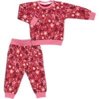 Набір дитячого одягу Breeze на флісі (17306-86G-red)