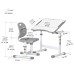 Парта зі стільцем Evo-kids Ergo Grey (Evo-03 Ergo G)