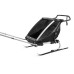 Коляска Thule Chariot Lite Double (Agave) (TH 10203022)