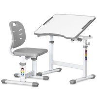 Парта зі стільцем Evo-kids Ergo Grey (Evo-07 Ergo G)