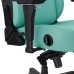 Крісло ігрове Anda Seat Kaiser 4 Size L Green (AD12YDDC-L-20-E-PV/C)