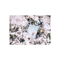 Гральні карти Noc Winter Edition (Glacier Ice) (PC_NWECI)