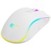 Мишка Havit HV-MS1034 USB White (6939119065614)
