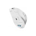 Мишка A4Tech FB45CS Air2 Bluetooth/Wireless Silver/White (4711421999373)